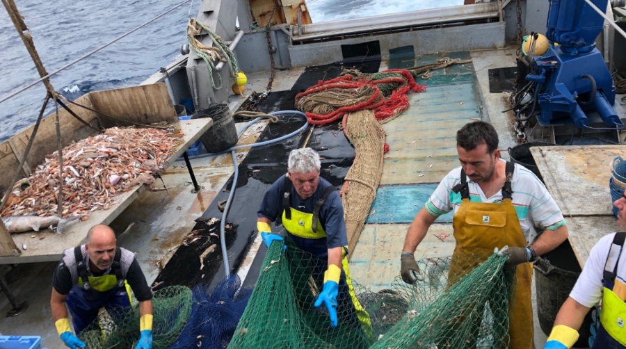 La Fundaci&oacute;n Valenciaport lidera el proyecto TOURISMED PLUS