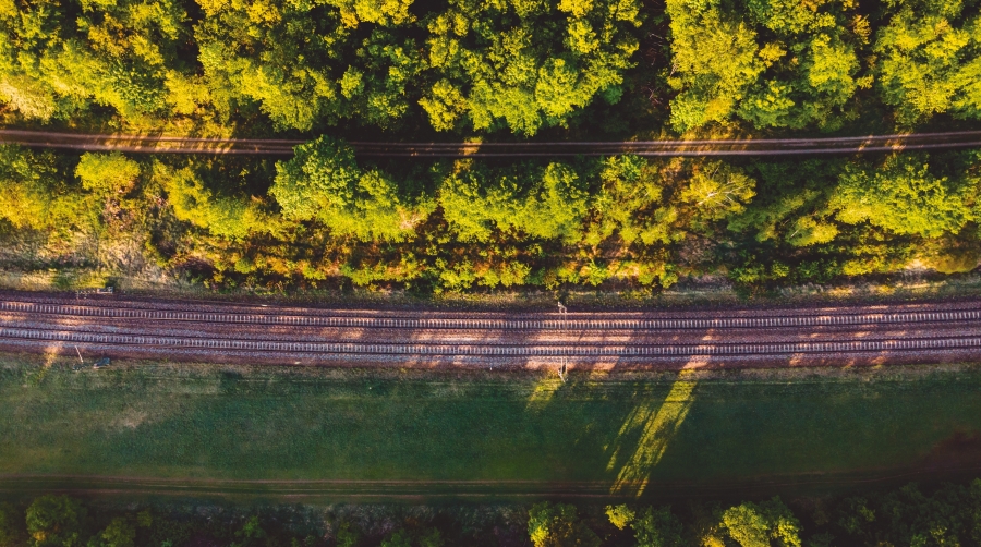 El Consejo de Ministros ha dado luz verde a la tramitación urgente de dos reales decretos por los que se establece la composición y funciones del Foro.
