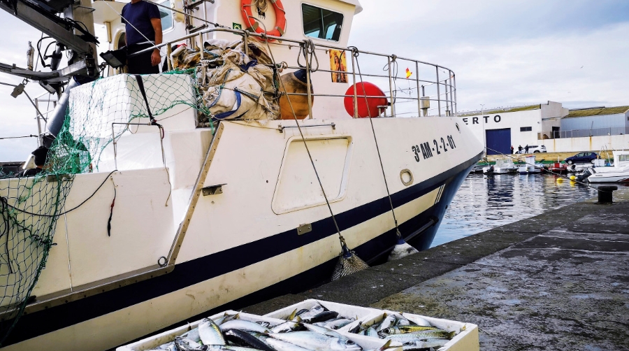 Pesca