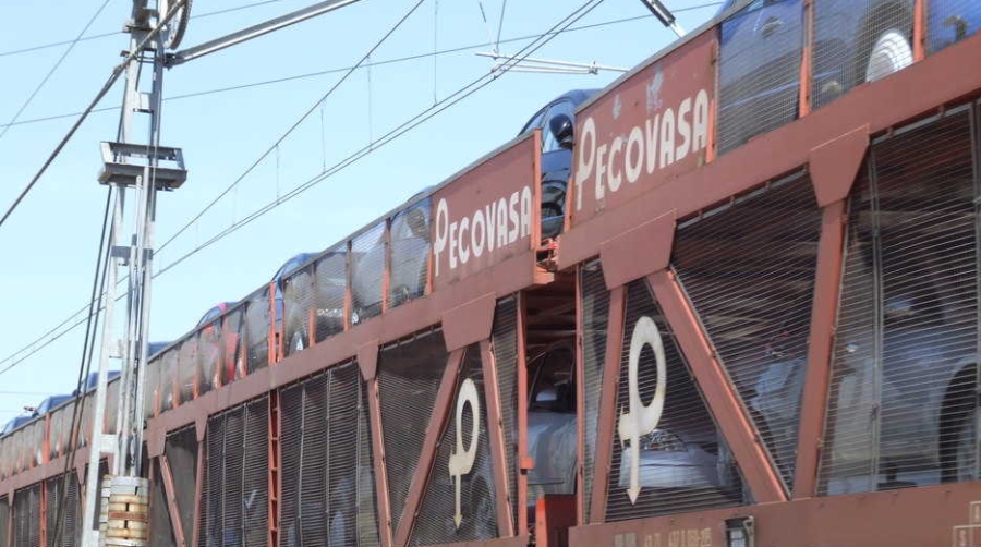 Renfe Mercanc&iacute;as adquiere la participaci&oacute;n de Comsa Rail Transport y Suard&iacute;az en Pecovasa