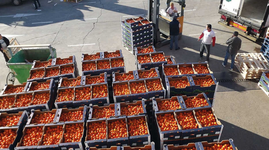 Andaluc&iacute;a, Comunidad Valenciana y Murcia generan los principales flujos log&iacute;sticos de las exportaciones hortofrut&iacute;colas espa&ntilde;olas, con m&aacute;s del 80% del total nacional.