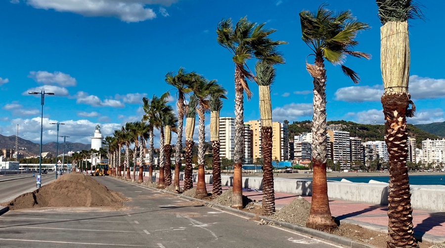 &ldquo;Es necesaria la interacci&oacute;n, m&aacute;xime en M&aacute;laga donde el puerto es abrazado por la ciudad&rdquo;