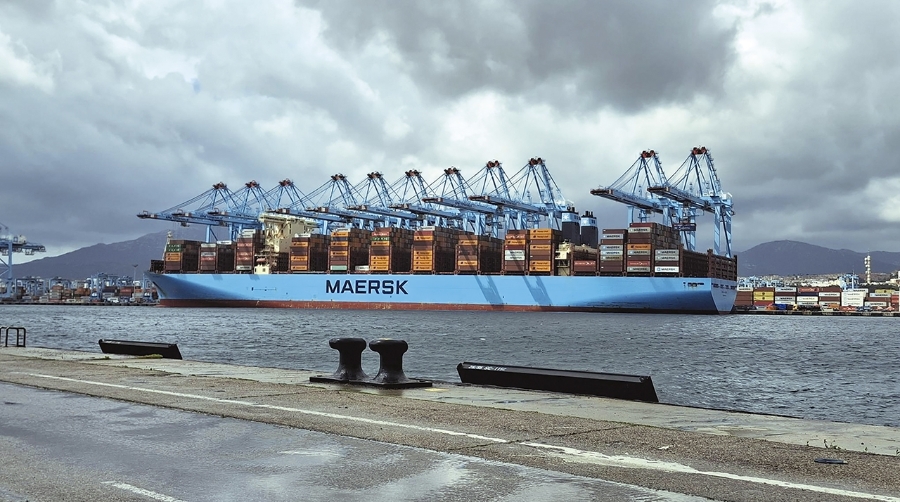 Siguen creciendo los contenedores de exportación llenos.