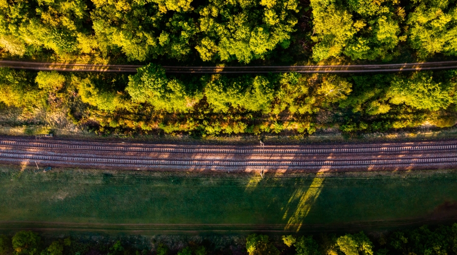 La ley presenta el objetivo de lograr la neutralidad climática de aquí a 2050 mediante un proceso continuado, progresivo e irreversible de descarbonización del sistema económico.