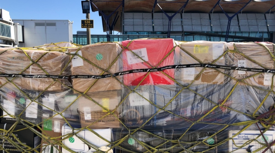 D&iacute;a de Todos los Santos: Iberia trae a Espa&ntilde;a 12 millones de flores