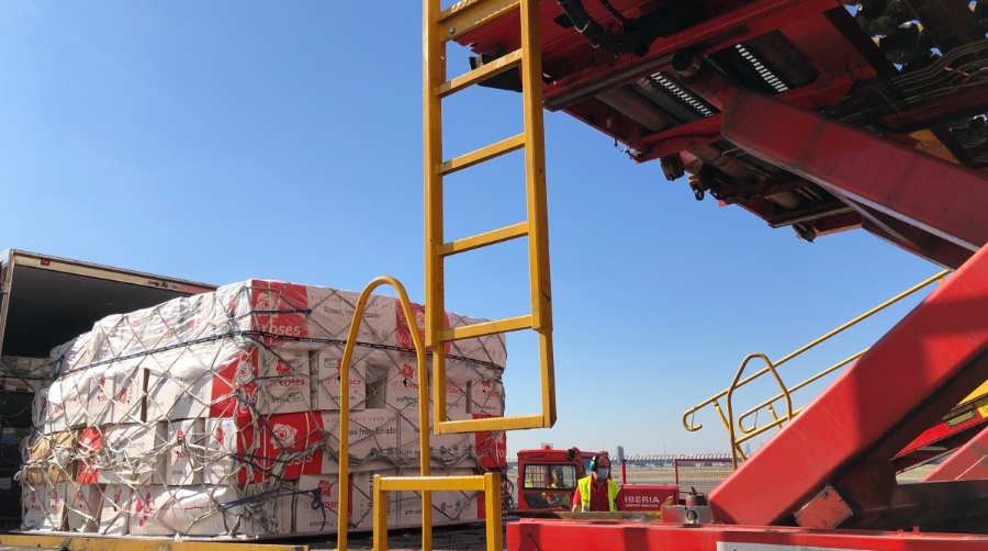 D&iacute;a de Todos los Santos: Iberia trae a Espa&ntilde;a 12 millones de flores