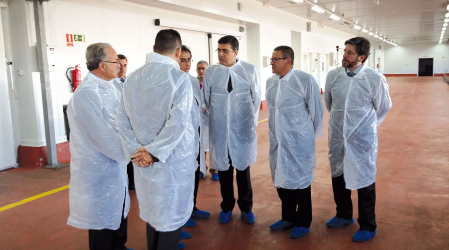 Los nuevos responsables del Puerto de T&aacute;nger Med conocen el PIF de Algeciras