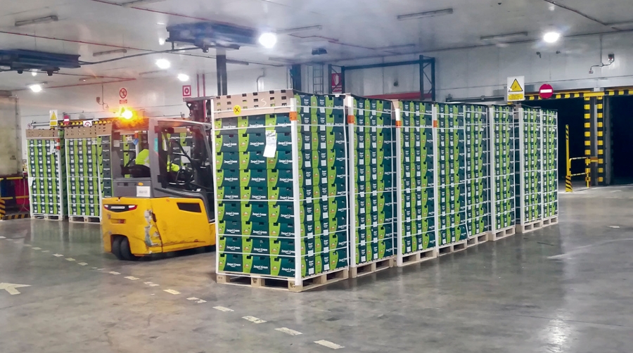La Autoridad Portuaria de Tarragona apunta a una tendencia al alza de la demanda de productos perecederos, reto que se afronta con la adaptaci&oacute;n log&iacute;stica.