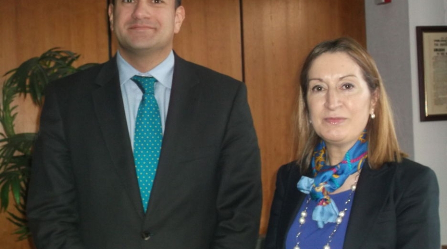 Pastor defiende ante la presidencia Irlandesa su propuesta de Red Transeuropea de Transporte