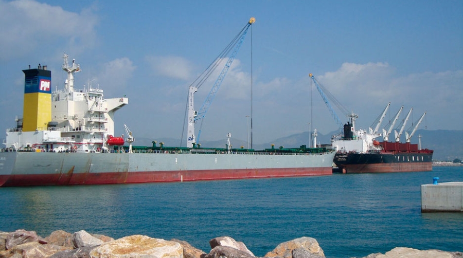 Portsur atiende a dos panamax simult&aacute;neamente