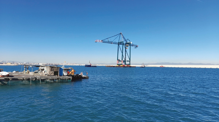 Finaliza el traslado de la nueva gr&uacute;a STS de MSC Terminal Valencia