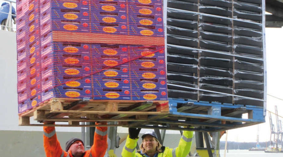 El Puerto de Almer&iacute;a acelera su apuesta por la exportaci&oacute;n de hortalizas a Reino Unido