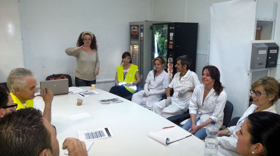 Grupo Ses&eacute; apuesta por la integraci&oacute;n