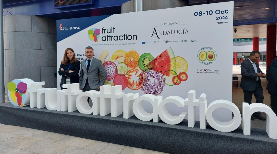 El Puerto de Tarragona ocupa un lugar estratégico como hub para la exportación e importación de frutas y hortalizas, tanto en el mercado europeo como en los mercados internacionales.