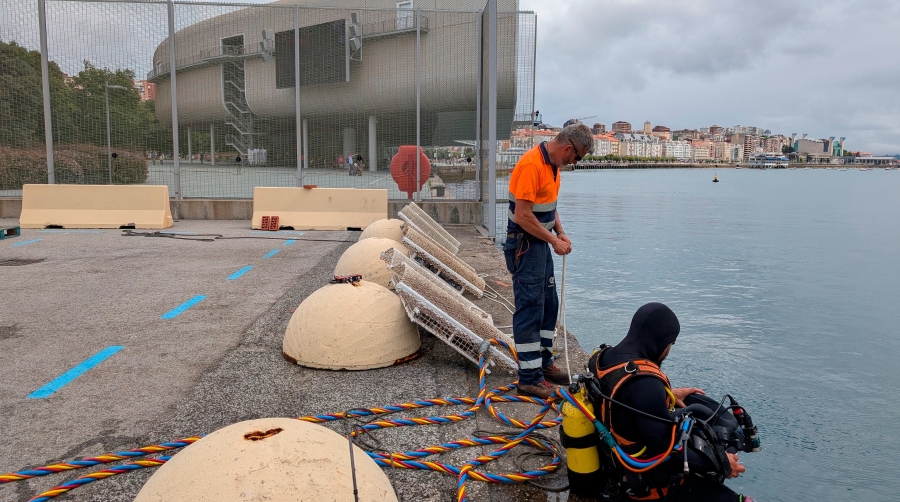 El puerto de Santander apuesta por potenciar la biodiversidad marina instalando seis micro arrecifes en el muelle de Albareda
