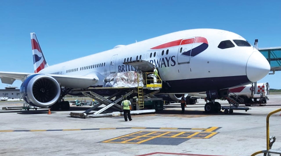 La red de IAG Cargo incluye actualmente 33 destinos en América Latina y el Caribe, frente a los 25 de 2019.