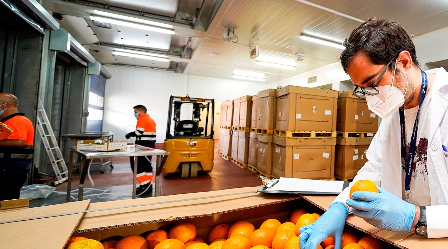 <b>Los puertos españoles</b>