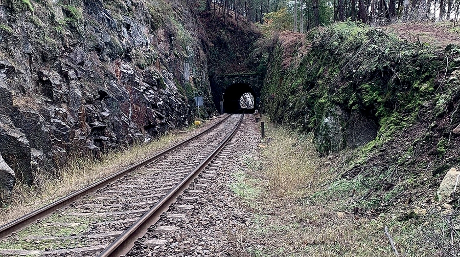 Entre las actuaciones previstas se encuentra la ampliación del gálibo de los 5 túneles del trayecto.