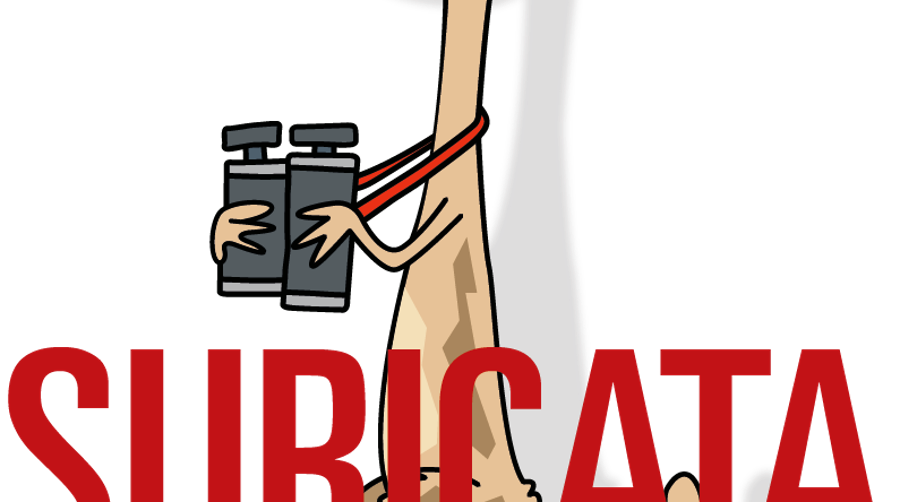 Hilos