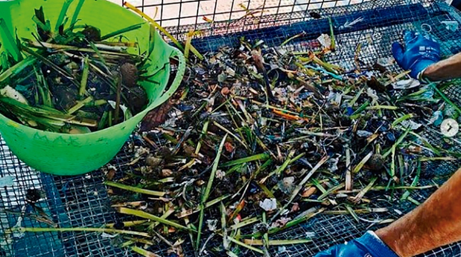 Puertos espa&ntilde;oles: ON en sostenibilidad