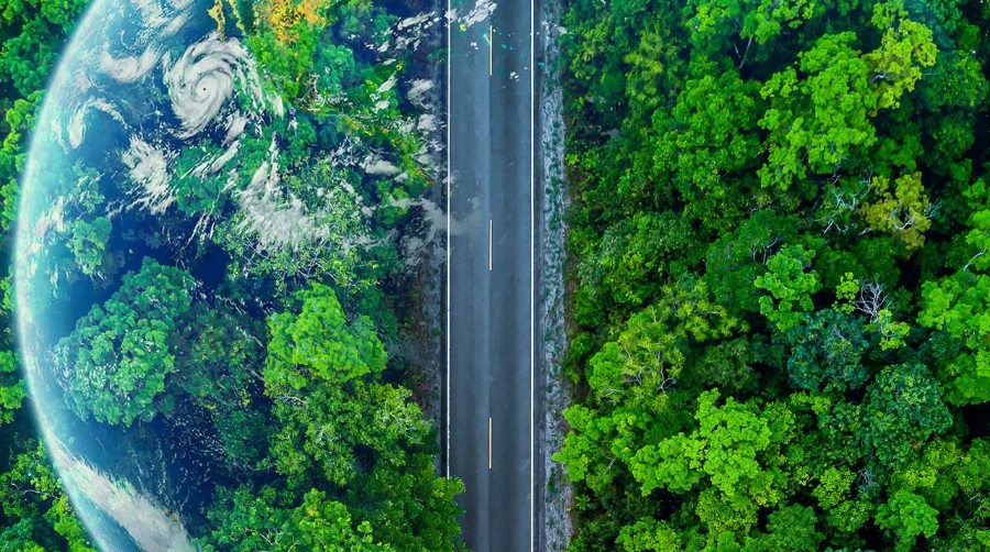 Sostenibilidad ambiental: no es una opción, y las empresas lo saben