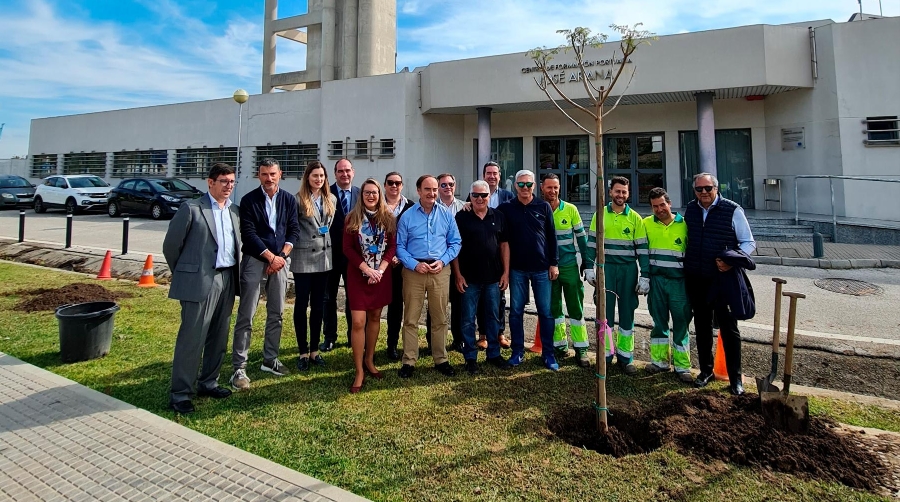 Los árboles han sido plantados frente al Centro de Formación Portuaria José Arana.