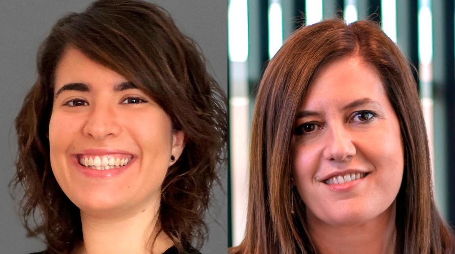 <i>Sobre la responsabilidad tributaria de los representantes aduaneros</i>