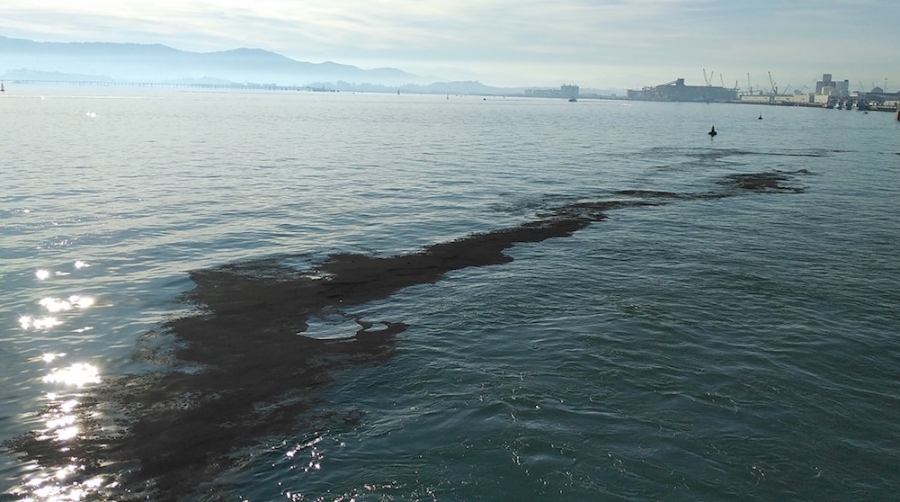 La AP de Santander y Brittany Ferries analizan el origen del vertido en el Muelle del Almirante