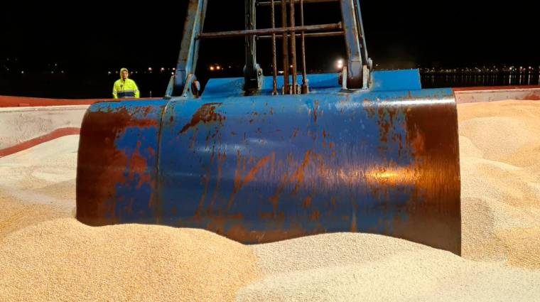 Procedente del puerto polaco de Gdansk, el “Supra” descargó 15.300 toneladas de maíz.