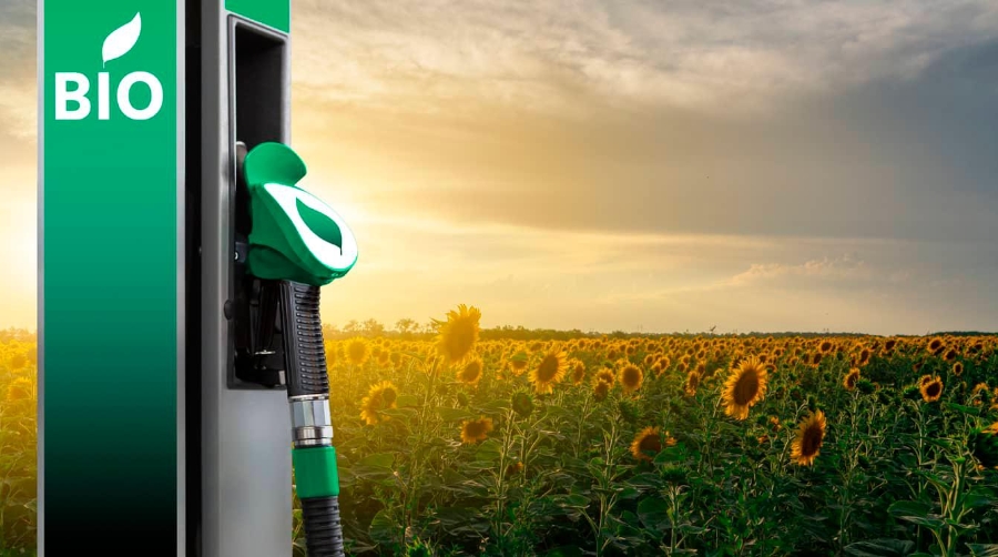 La Plataforma para la Promoción de los Ecocombustibles dirige un manifiesto a los partidos políticos