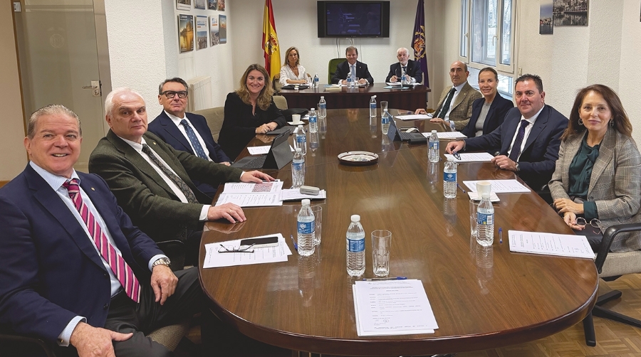 El pleno del Consejo General de Agentes de Aduanas aborda los principales desafíos del sector aduanero