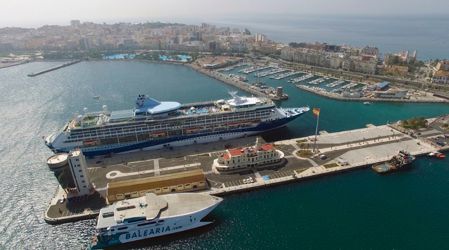 El Puerto de Ceuta contar&aacute; con halcones para controlar la poblaci&oacute;n de gaviotas