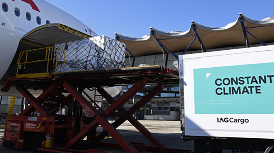 &quot;IAG Cargo se ha adaptado para seguir desempe&ntilde;ando un papel esencial en el respaldo del comercio mundial&quot;