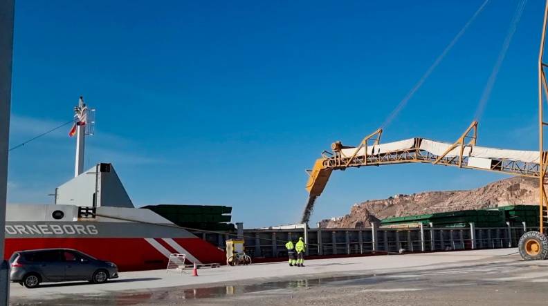 AP de Almería arranca 2022 con más de 198.000 toneladas de graneles sólidos exportados