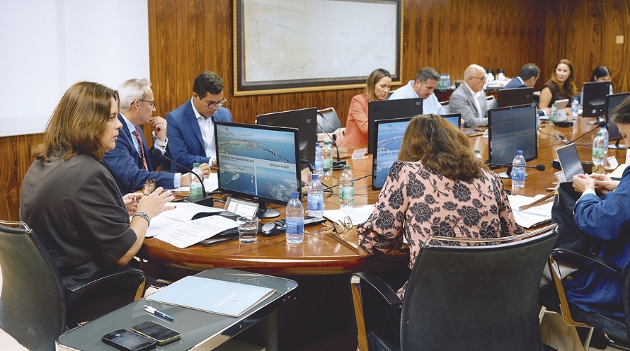 El Consejo de Administración de Puertos de Las Palmas, celebrado este jueves, ha dado luz verde a invertir 4,8 millones de euros para reforzar la seguridad.