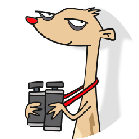 #Suricata